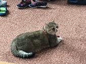 2019-05-22 Den domcch mazl?k?